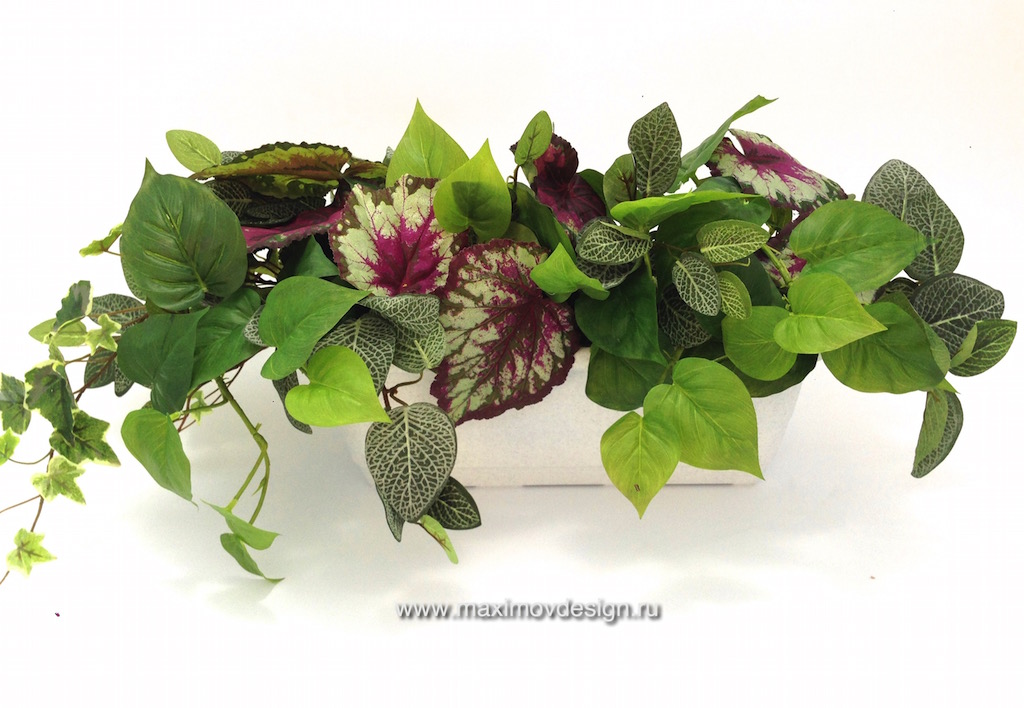 Балконный ящик с миксом из растений