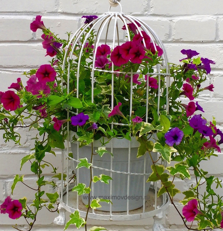 Подвесная клетка с петунией и плющом