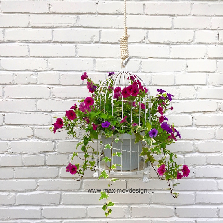 Подвесная клетка с петунией и плющом