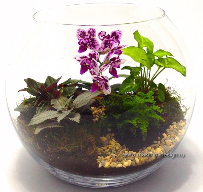 Флорариумы