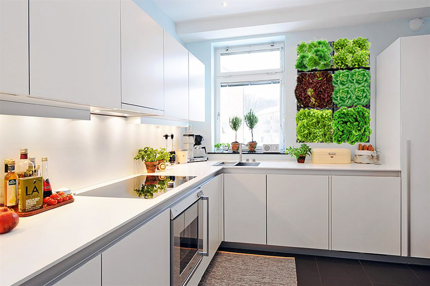 Городской огород